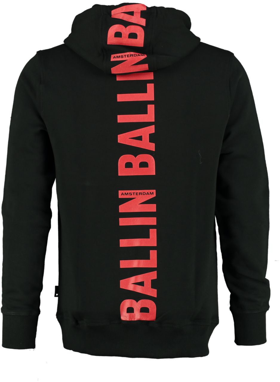 Ballin Hoodie 