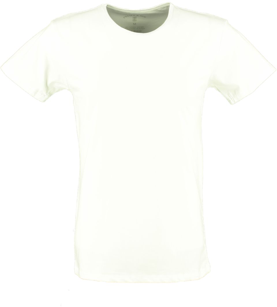 Presly & Sun T-shirt JAMES