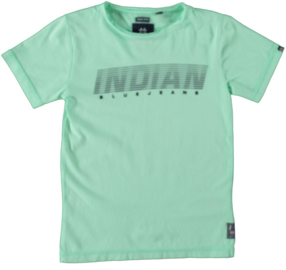 Indian Blue T-shirt BASIC INDIAN