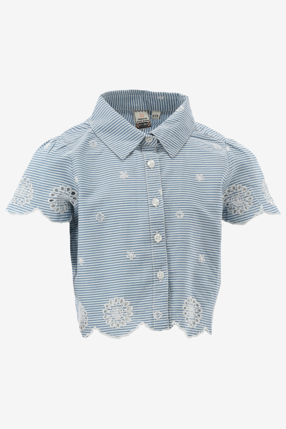 Indian Blue Blouse Stripe Embroidery Shirt