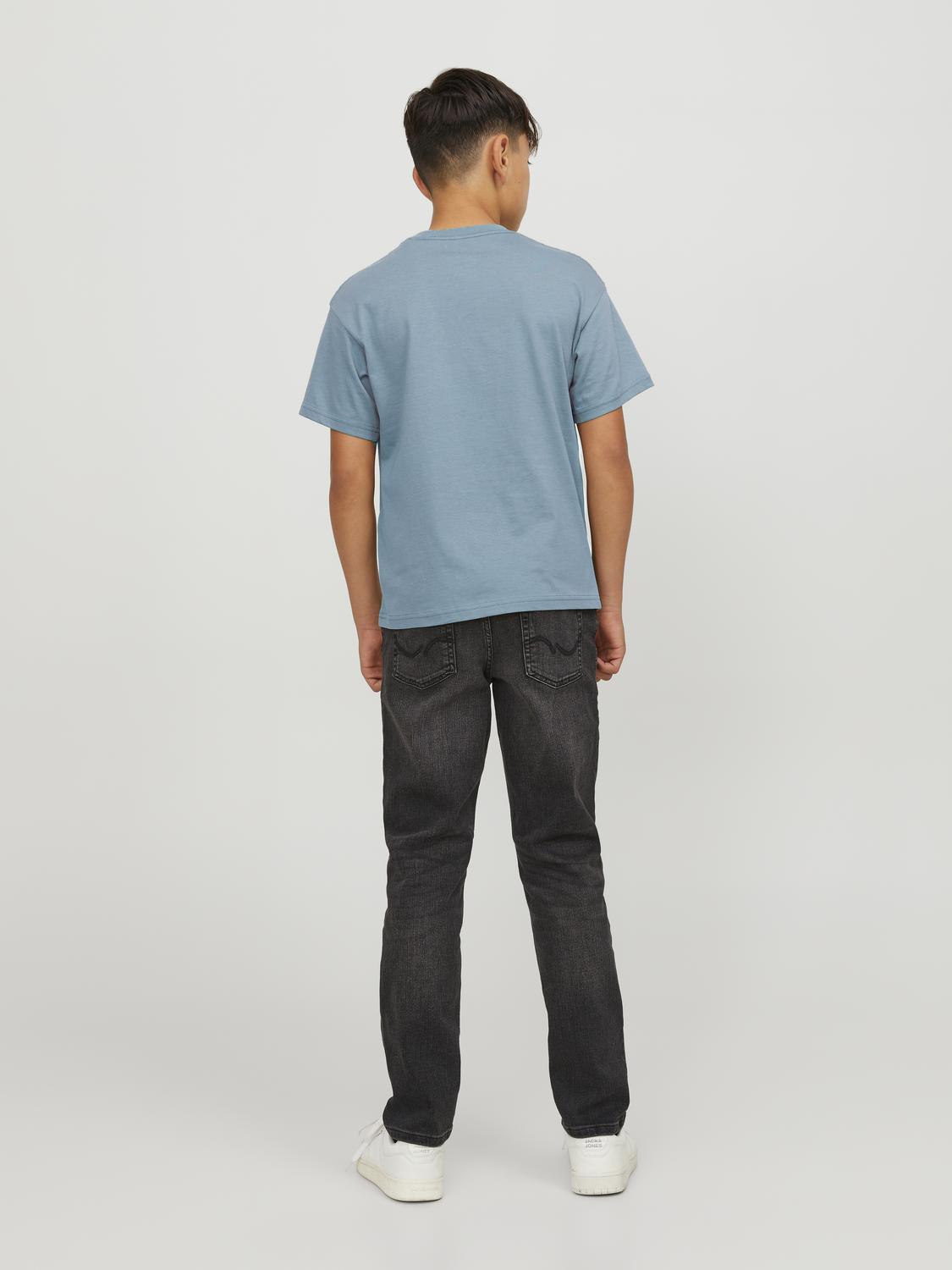 Jack&Jones T-shirt VESTERBRO