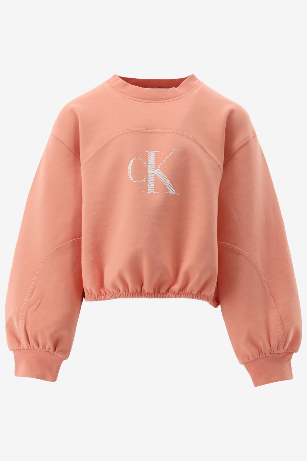 Calvin Klein Sweater IRIDESCENT CK LOGO C