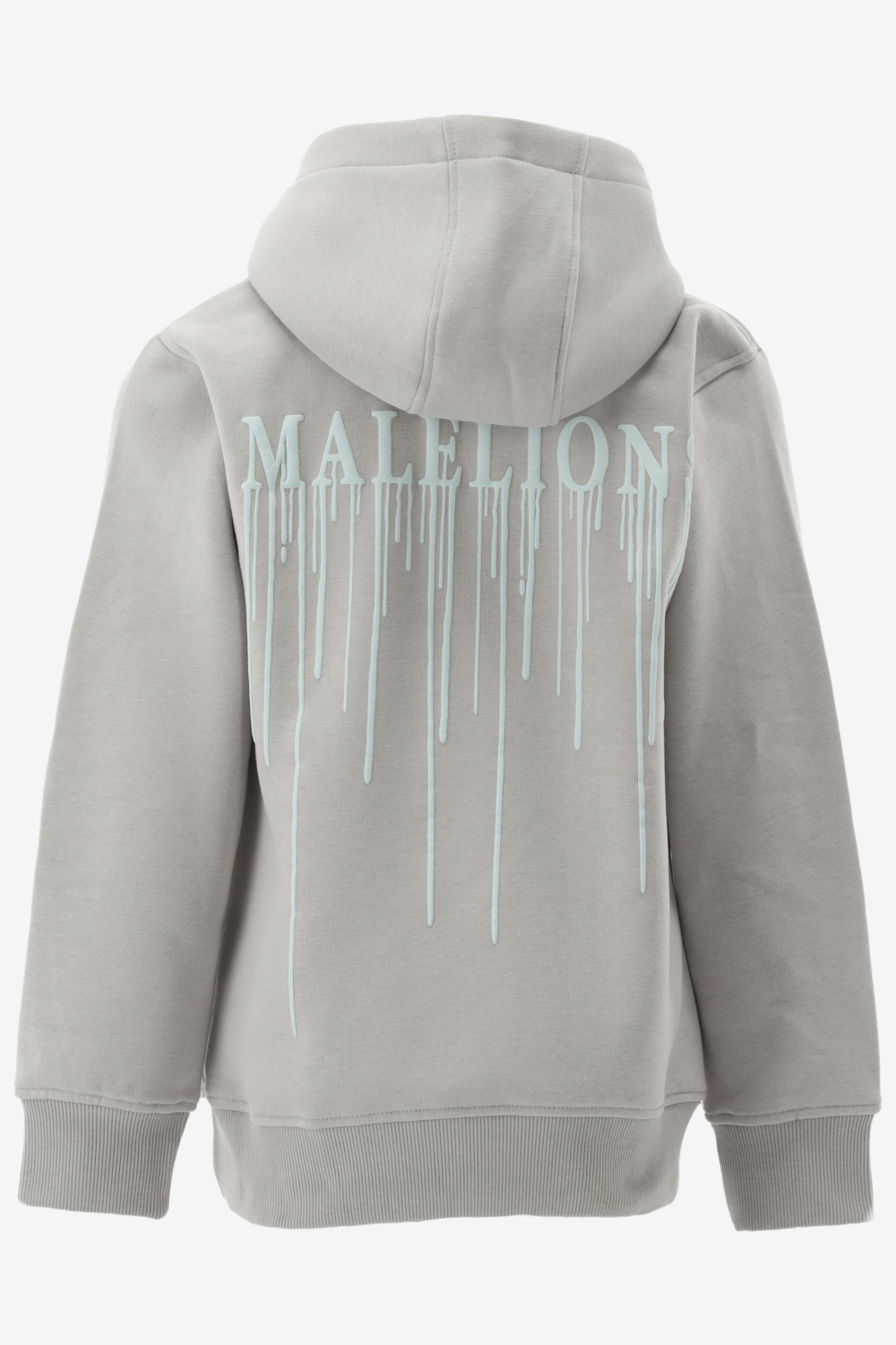 Malelions Hoodie Painter