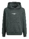 Jack&Jones Hoodie VESTERBRO