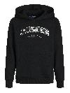 Jack&Jones Hoodie CALEB VASERTY