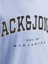 Jack&Jones T-shirt CALEB VARSITY 