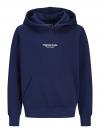 Jack&Jones Hoodie VESTERBRO