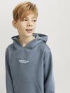 Jack&Jones Hoodie VESTERBRO