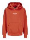 Jack&Jones Hoodie VESTERBRO