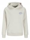 Jack&Jones Hoodie BRANDES