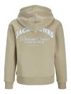 Jack&Jones Hoodie BRANDES