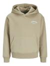 Jack&Jones Hoodie BRANDES