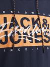 Jack&Jones Hoodie COLTON