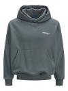 Jack&Jones Hoodie ISLINGTON 