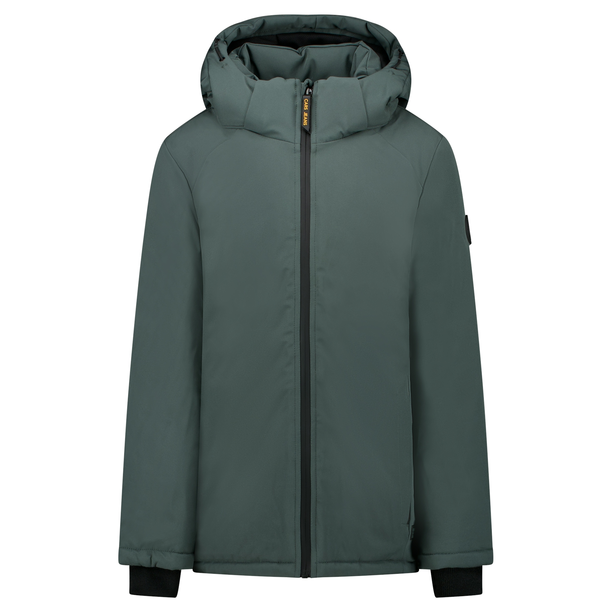 Cars Winterjas HOWHAM maat 176-16J