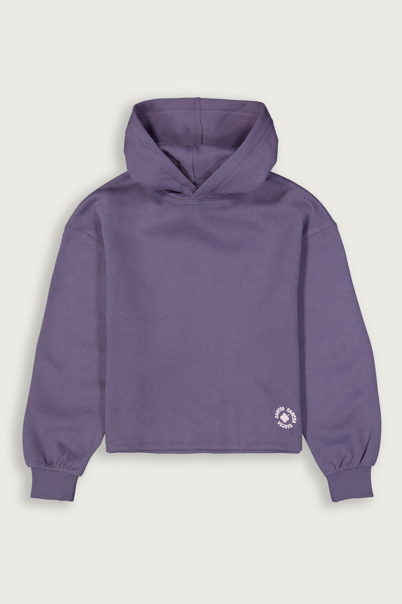 Garcia Hoodie maat 176-16J