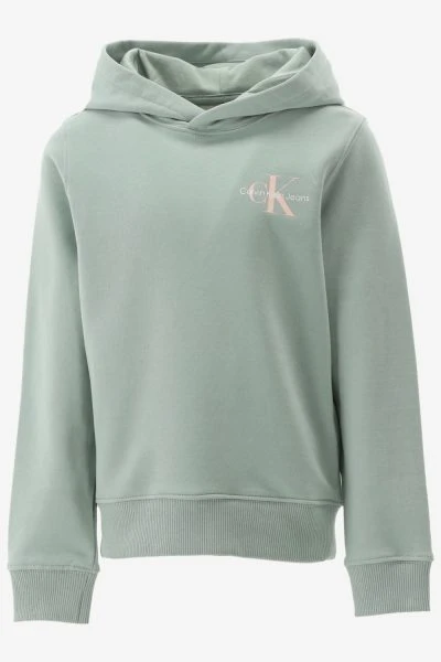 Calvin Klein Hoodie SMALL MONOGRAM HOODI