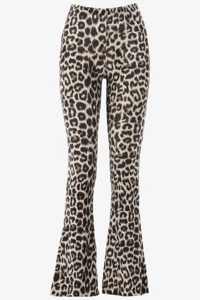 Catwalk Junkie Bootcut