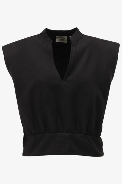 Another-Label Top INDRA