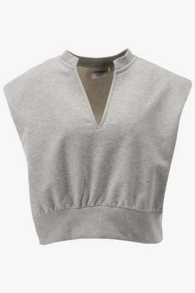 Another-Label Top INDRA