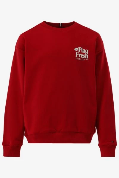 Tommy Hilfiger Sweater FUN