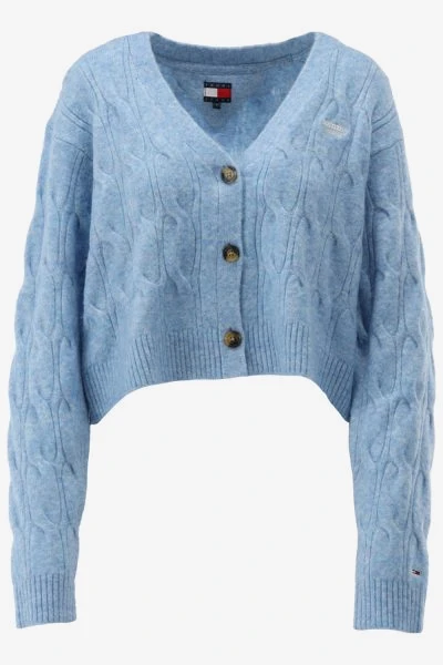 Tommy Hilfiger Vest TJW