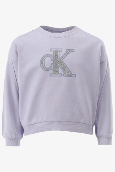 Calvin Klein Sweater METALLIC