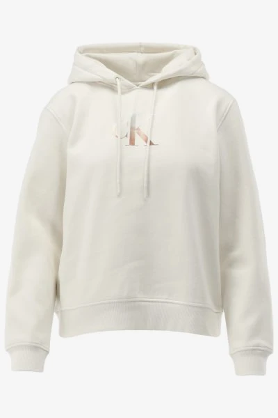 Calvin Klein Hoodie GRADIENT
