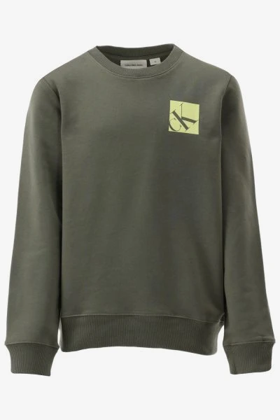 Calvin Klein Sweater SHIFTED