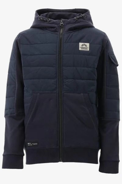 Indian Blue Tussenjas