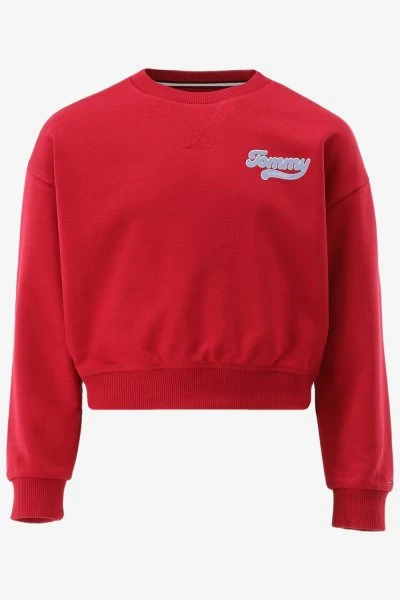Tommy Hilfiger Sweater