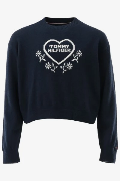 Tommy Hilfiger Trui