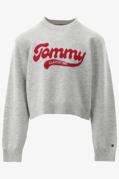 Tommy Hilfiger Trui