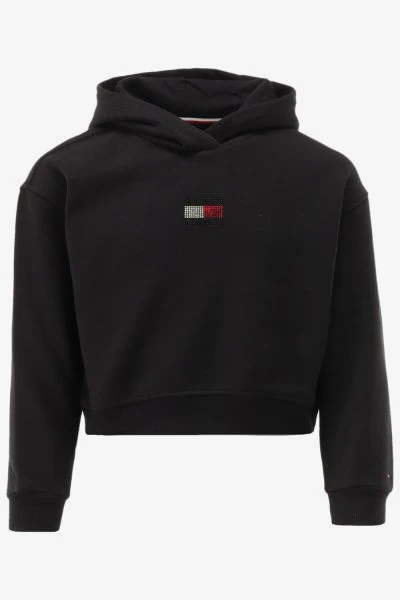 Tommy Hilfiger Hoodie