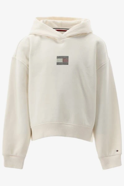 Tommy Hilfiger Hoodie