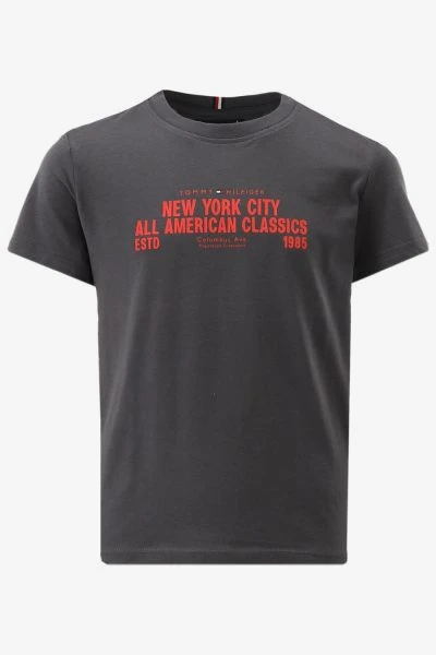Tommy Hilfiger T-shirt