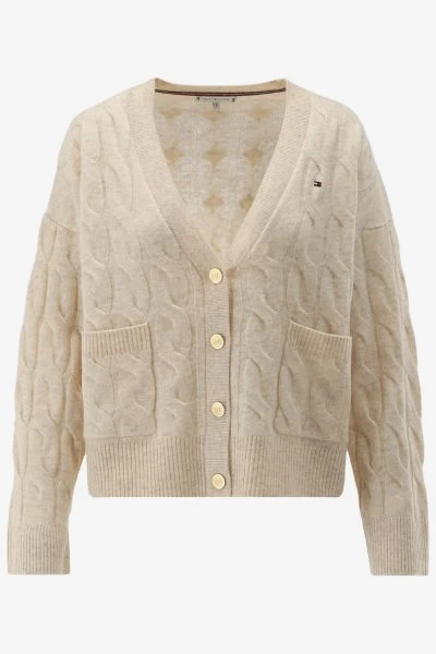 Tommy Hilfiger Vest