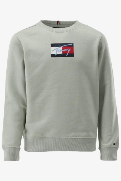 Tommy Hilfiger Trui