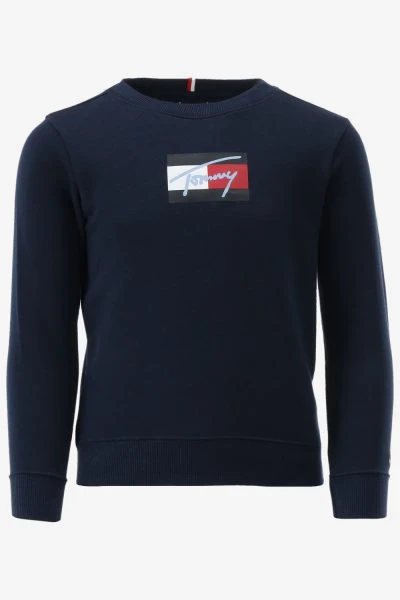 Tommy Hilfiger Sweater