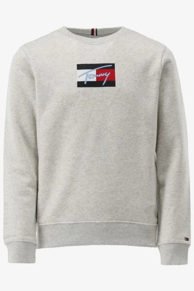 Tommy Hilfiger Sweater