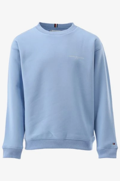 Tommy Hilfiger Sweater