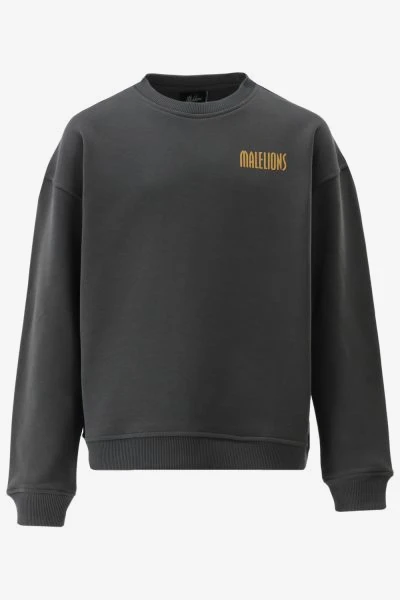 Malelions Sweater