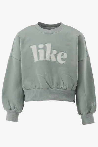 Indian Blue Sweater