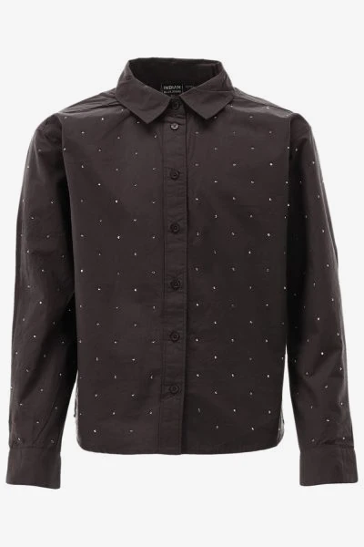 Indian Blue Blouse