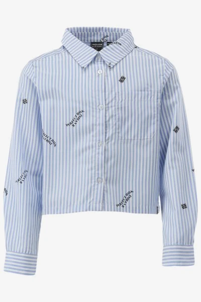 Indian Blue Blouse
