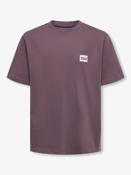 Only & Sons T-shirt FRED LIFE