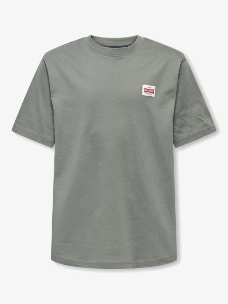 Only & Sons T-shirt FRED LIFE