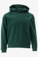 Tommy Hilfiger Hoodie - productfoto