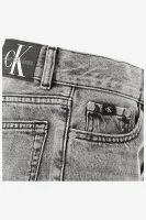 Calvin Klein Loose Fit DAD WASHED MODERN GR - productfoto