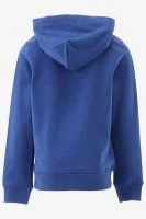 Calvin Klein Hoodie SMALL MONOGRAM HOODI - productfoto